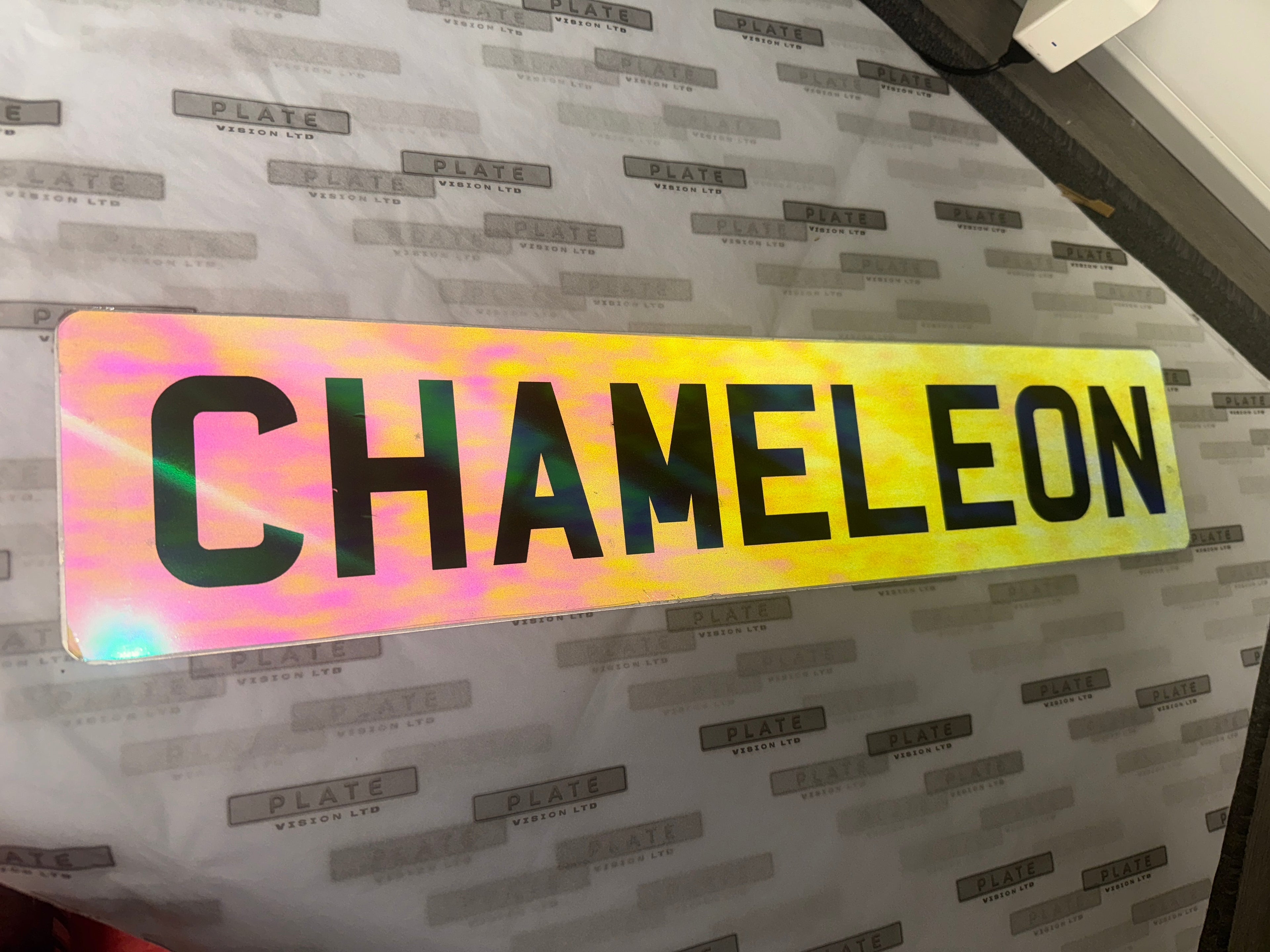 Chameleon Show Plate